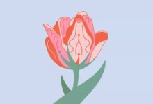 如何改善男人勃起硬度？试试PC肌、提肛、凯格尔运动缩略图