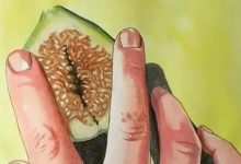 女性都是怎么偷偷解决生理需求的缩略图